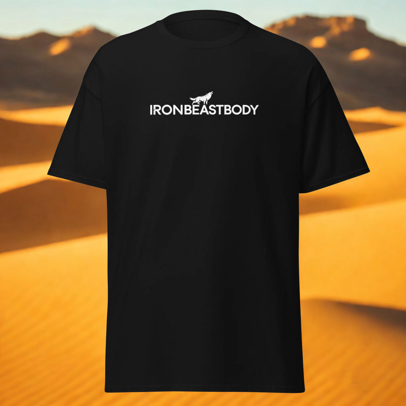 IBB T-Shirt frontwhite Logo