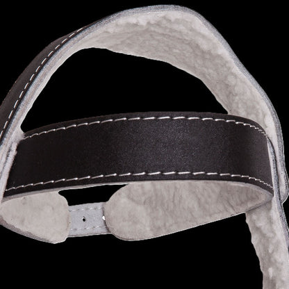 Kopf / Nackentrainer - BOX / MMA-  C.P.Sports G-10