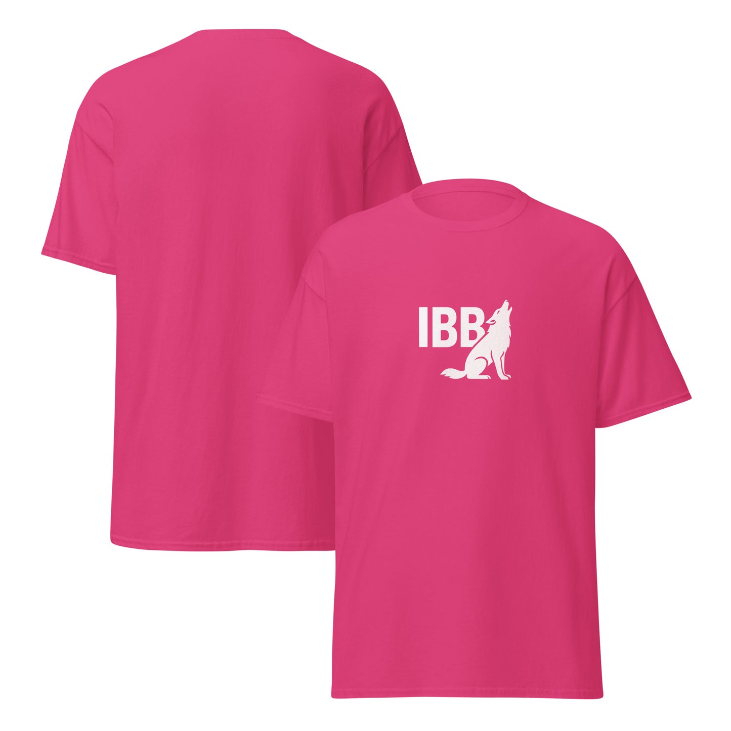 IBB T-Shirt frontwhite Logo big