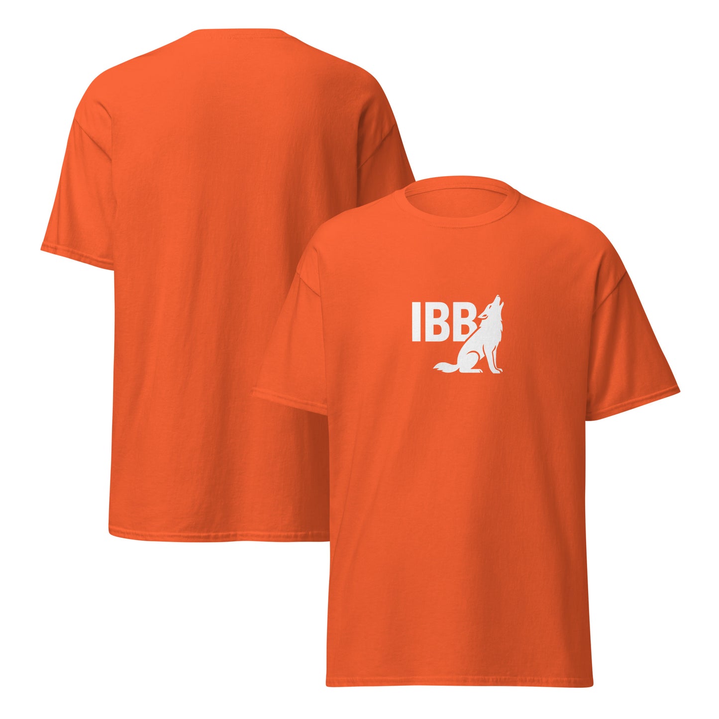 IBB T-Shirt frontwhite Logo big